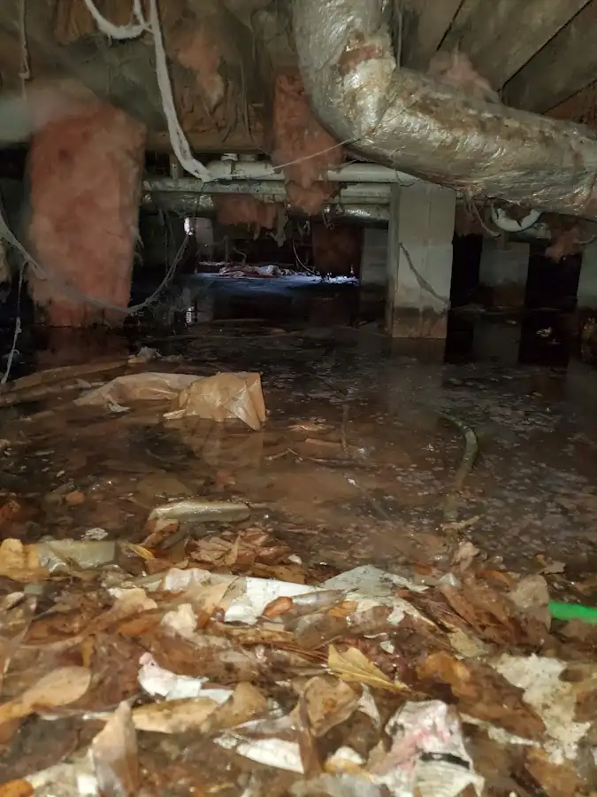 Crawl space flood assessment for Leak Detection & Repair in Warner Robins