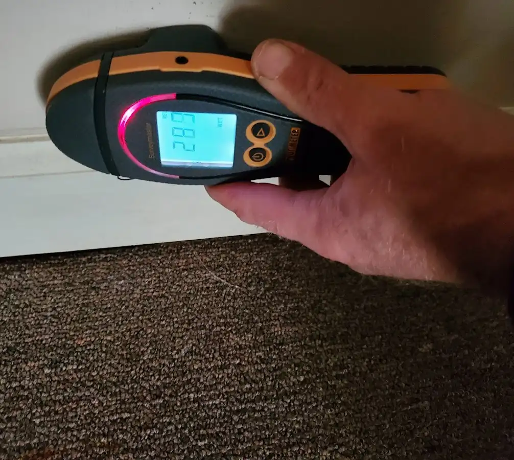 Moisture detection at baseboard during Mold Inspection & Testing in Warner Robins